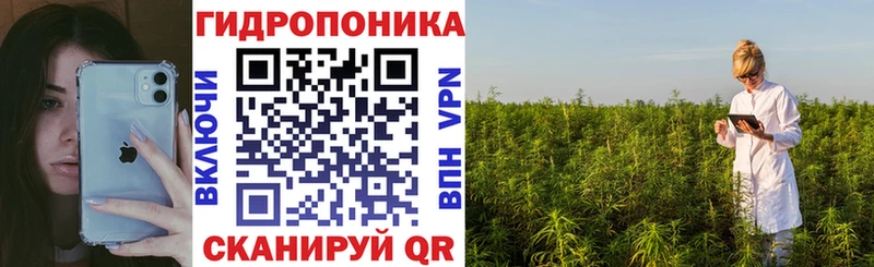 кракен вход  продажа наркотиков  Магнитогорск  МАРИХУАНА индика 
